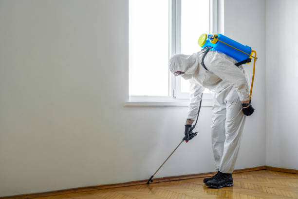 Best Organic or Eco-Friendly Pest Control  in Preston, TX